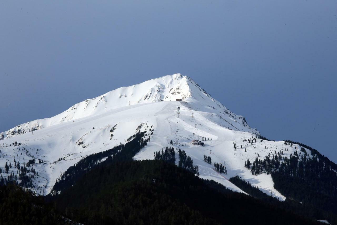 Nice And Quiet Apartment Next To Gondola Lift. Bansko Buitenkant foto